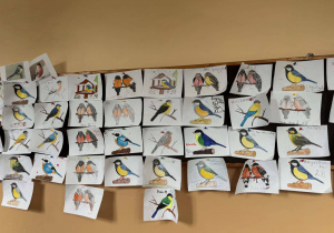 Galeria rysunków zimowych ptaków wykonanych przez uczniów podczas zajęć świetlicowych.
