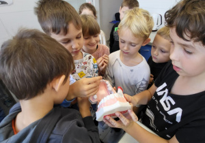 Dzieci z klasy 1b trzymają model szczęki i uczą się, jak prawidłowo myć zęby.